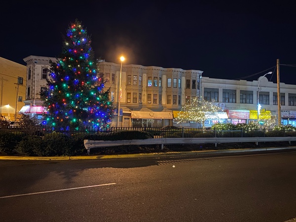 Christmas tree by Main Ave.