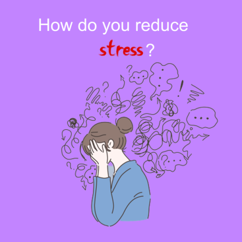 VOTE: How do Prep students relieve stress?
